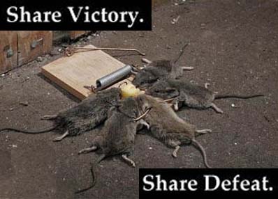 defeat.jpg