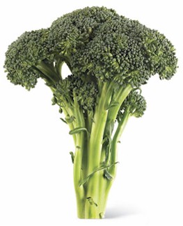 broccoli-spear.jpg