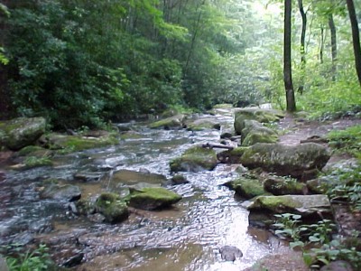 Fall_Creek_2.JPG